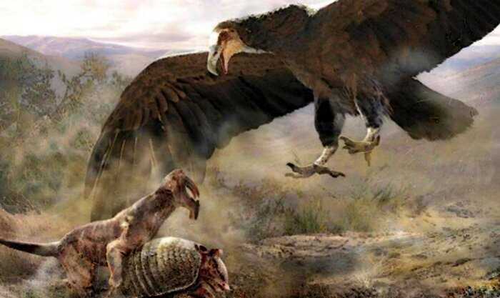 6 миллионов лет назад над Землей летала самая большая птица в истории. Размах ее крыльев превышал 6 метров