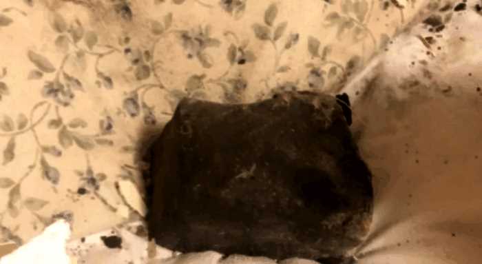 Метеорит разбудил жительницу Канады — он пробил крышу спальни и упал на подушку в десяти сантиметрах от головы