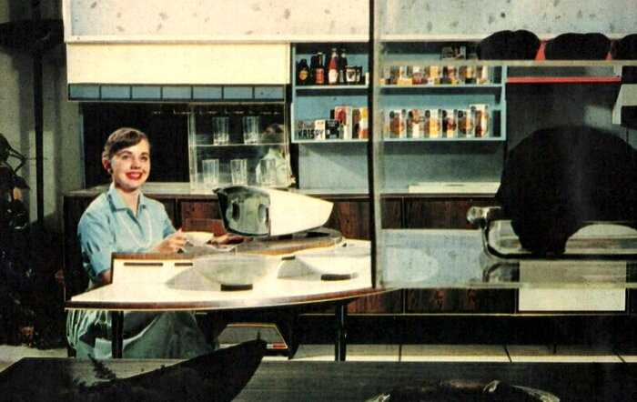 Чем американская чудо-кухня поразила СССР на выставке в 1959 году, и что было ложью