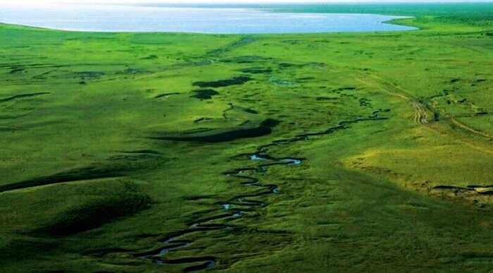 4 сантиметра в ширину: где находится самая узкая река планеты, и как она выглядит