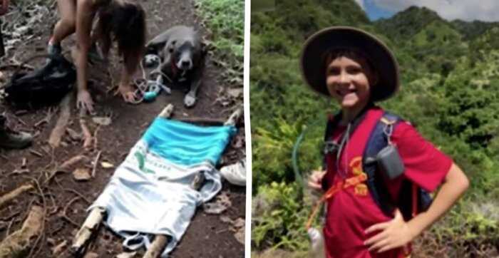Этот 12-летний парень случайно спас раненную собаку и семейную пару, которые заблудились в горах
