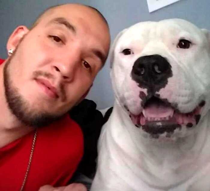 Мужчина продал машину чтобы спасти жизнь своей собаке