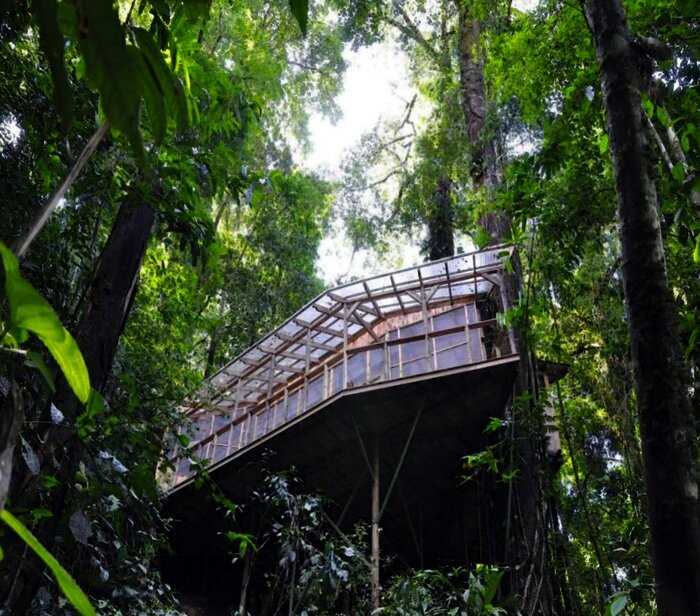 Как появилась деревня на деревьях в Коста-Рике