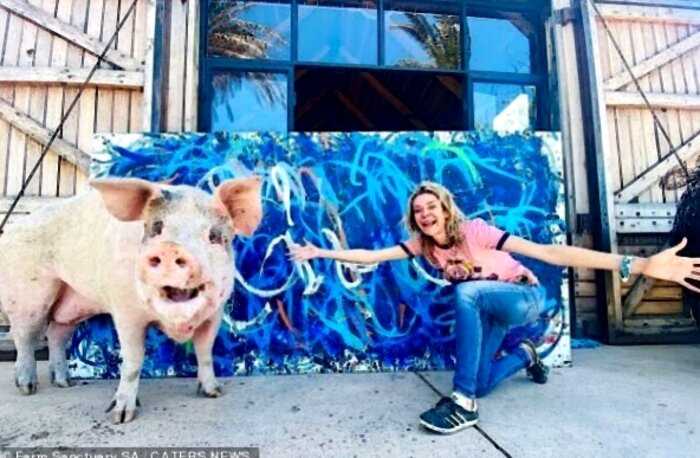 Свинья нарисовала картину, которую продали за рекордную сумму