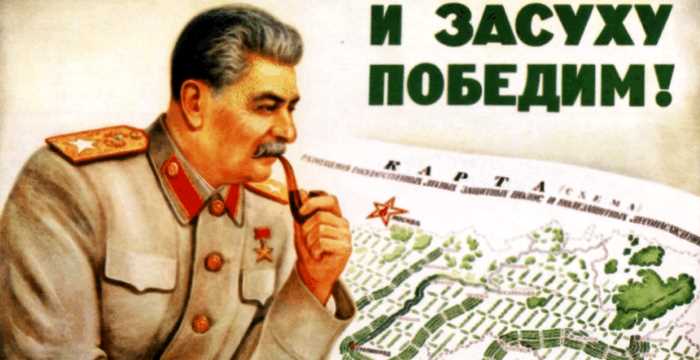 Зачем весь СССР засадили тополями? Вот в чем был гениальный замысел