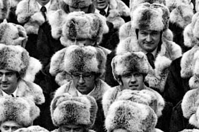Кто такой этот пыжик, из меха которого носили шапки в СССР
