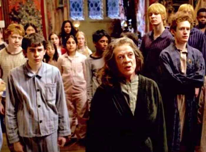 16 важных сцен, которые вырезали из фильмов о Гарри Поттере, и нам хочется спросить: «Зачем?»