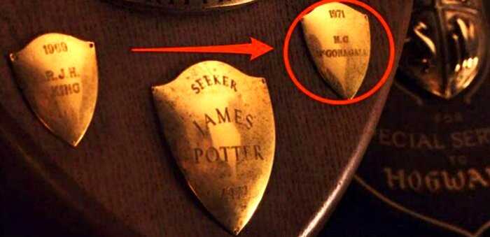 25 мелких деталей, спрятанных в фильмах о Гарри Поттере, которые почти невозможно заметить
