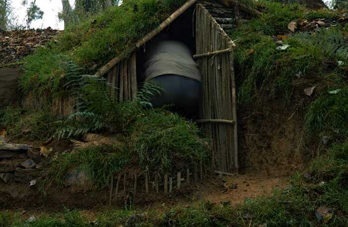 Мужчина часто пропадал в лесу и построил там секретный дом, теперь хочет переехать в него — ведь там есть все