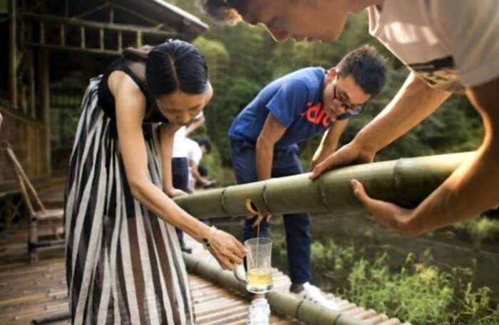 Китайцы научились производить лечебный алкоголь внутри живого бамбука