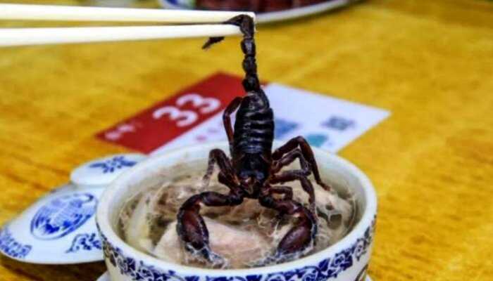 Суп из змеи и целого скорпиона – блюдо, от которого потеешь от страха