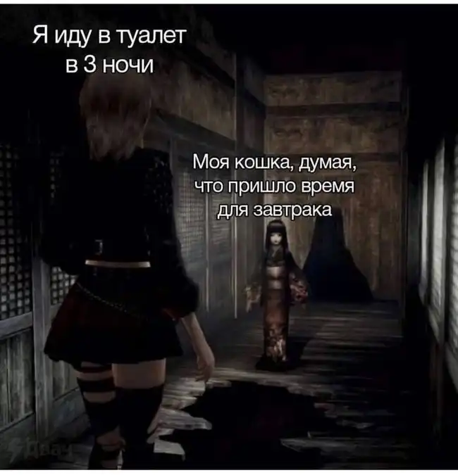 Набор случайной радости - смешные мемы