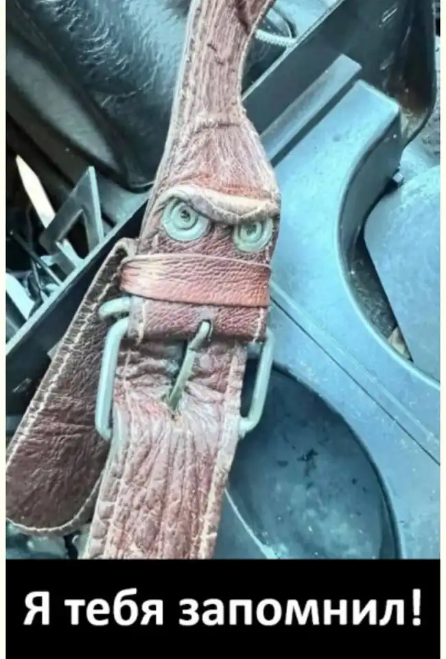 Порция случайного веселья - смешные фото