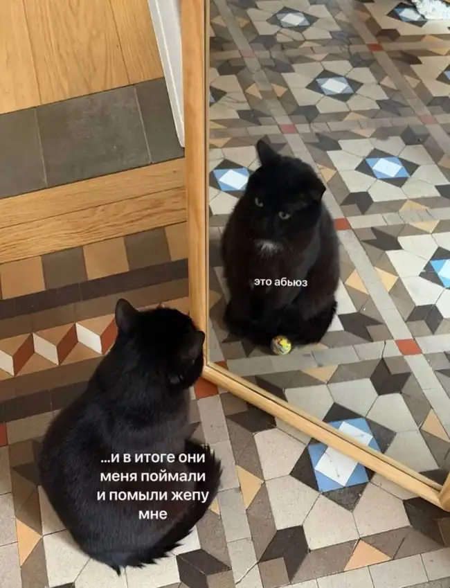 Мозг в Отпуске - сборник мемов, от которых крышу сносит