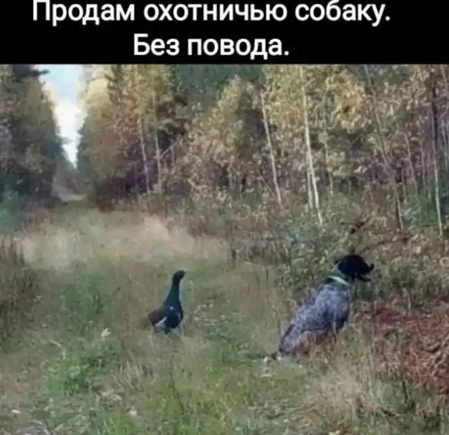 Мозг после 18:00 - смешные фото/мемы/приколы