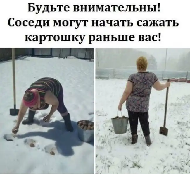Бесплатный сыр в мышеловке юмора - мемы