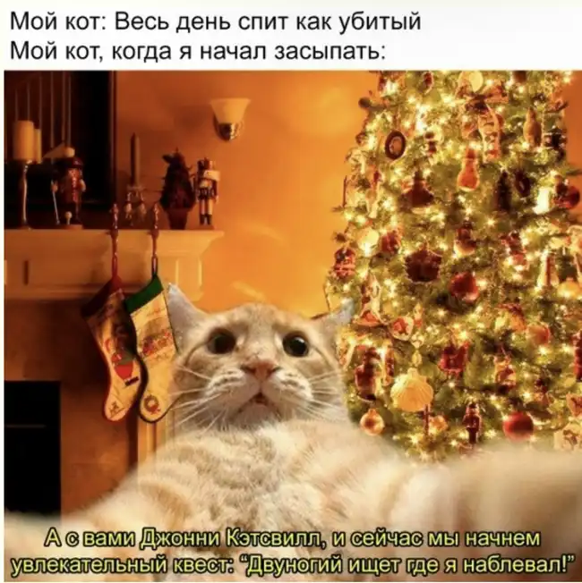 Интернет снова превзошел сам себя - смешные мемы