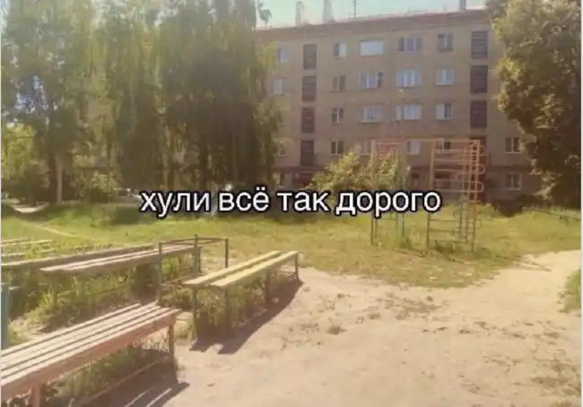Искусство выживания во вторник - мемы