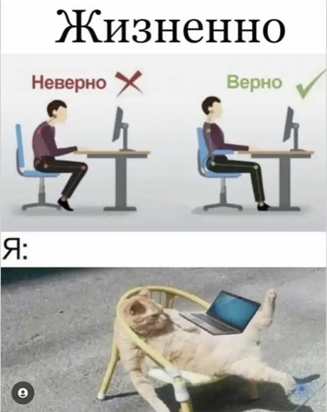 Хаос в голове и порядок на столе - смешные фото